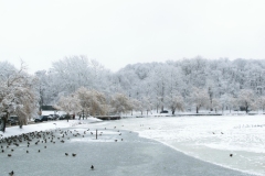ParkGolosiivo_6_02_2019-1