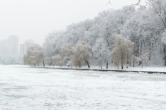 ParkGolosiivo_6_02_2019-10