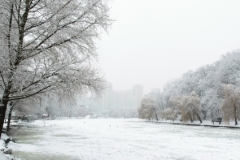 ParkGolosiivo_6_02_2019-11