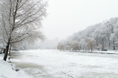 ParkGolosiivo_6_02_2019-12
