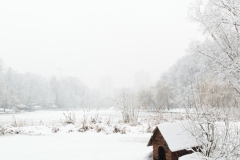 ParkGolosiivo_6_02_2019-13