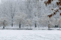 ParkGolosiivo_6_02_2019-2