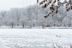 ParkGolosiivo_6_02_2019-3