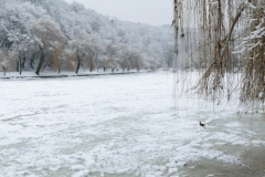 ParkGolosiivo_6_02_2019-4