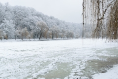 ParkGolosiivo_6_02_2019-5