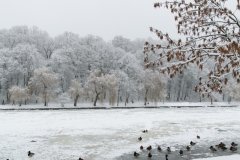 ParkGolosiivo_6_02_2019-7