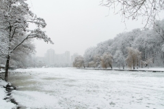 ParkGolosiivo_6_02_2019-9